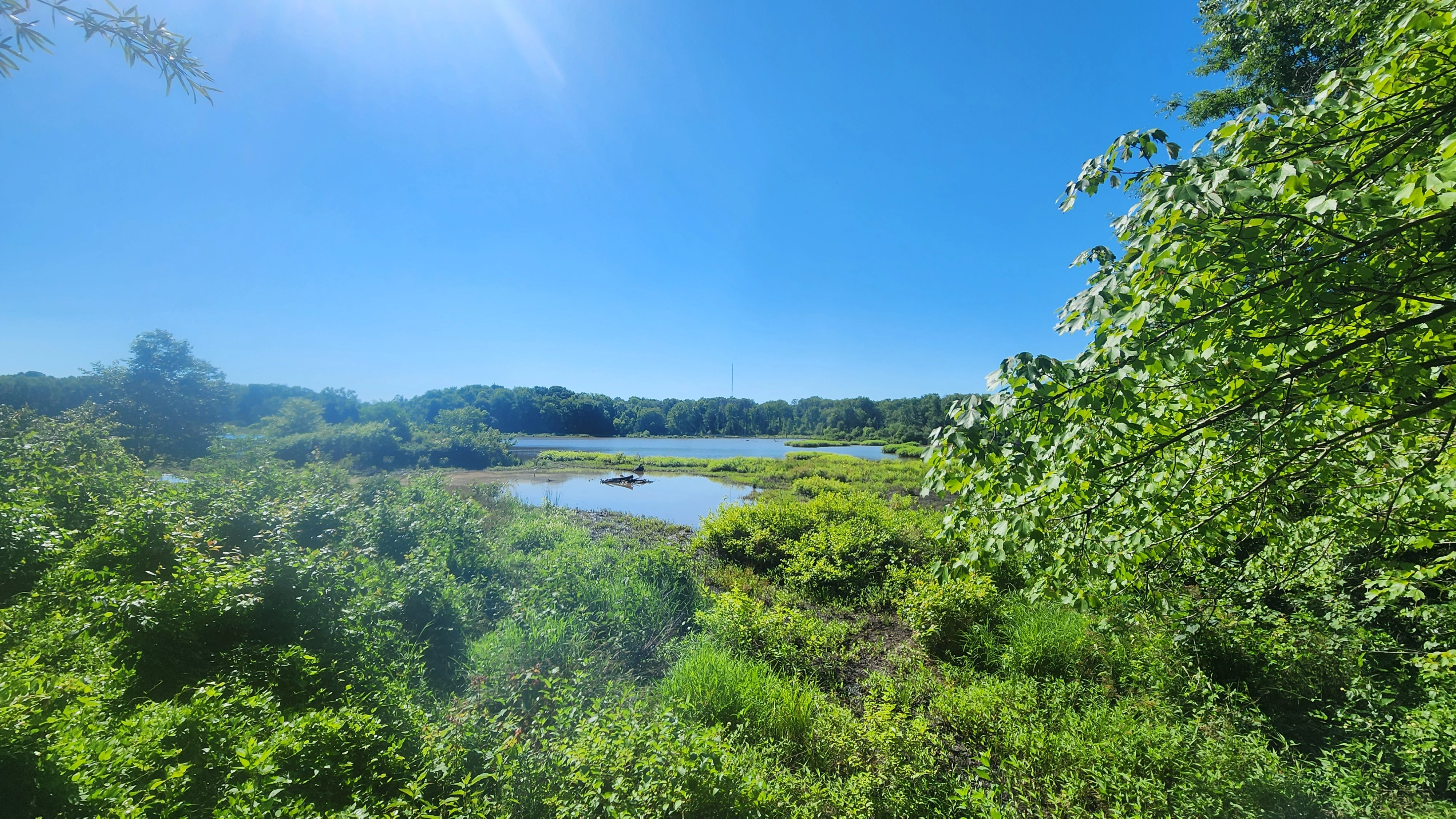 lush green view of a lake (same lake in all 4 photos)