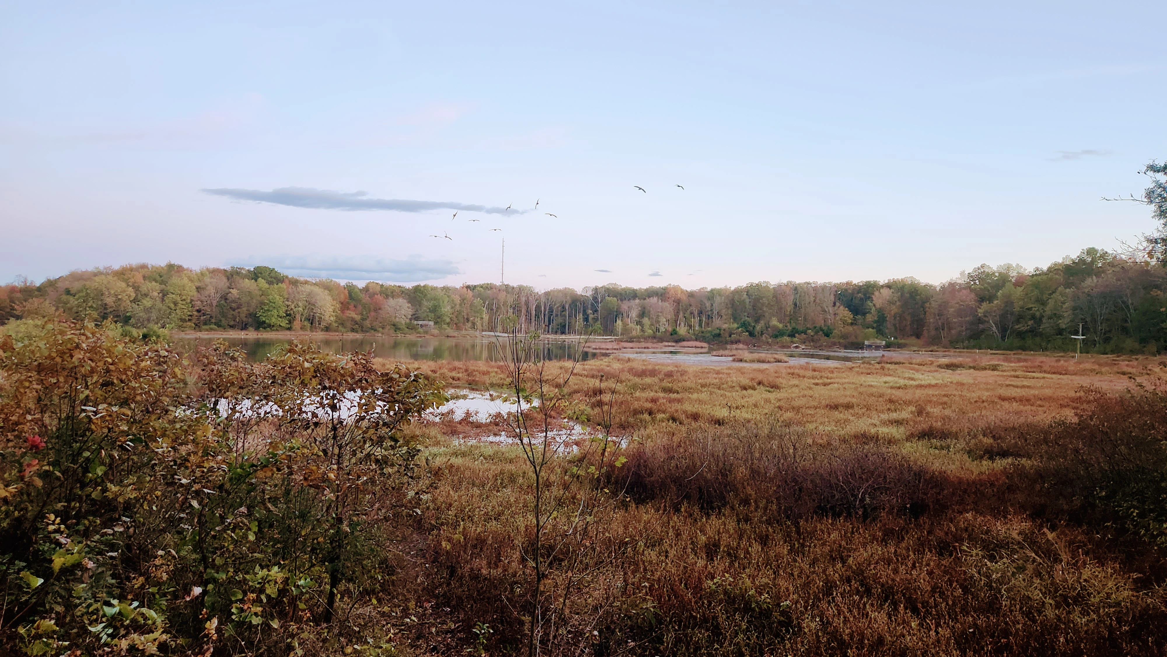 brown and orange view of a lake