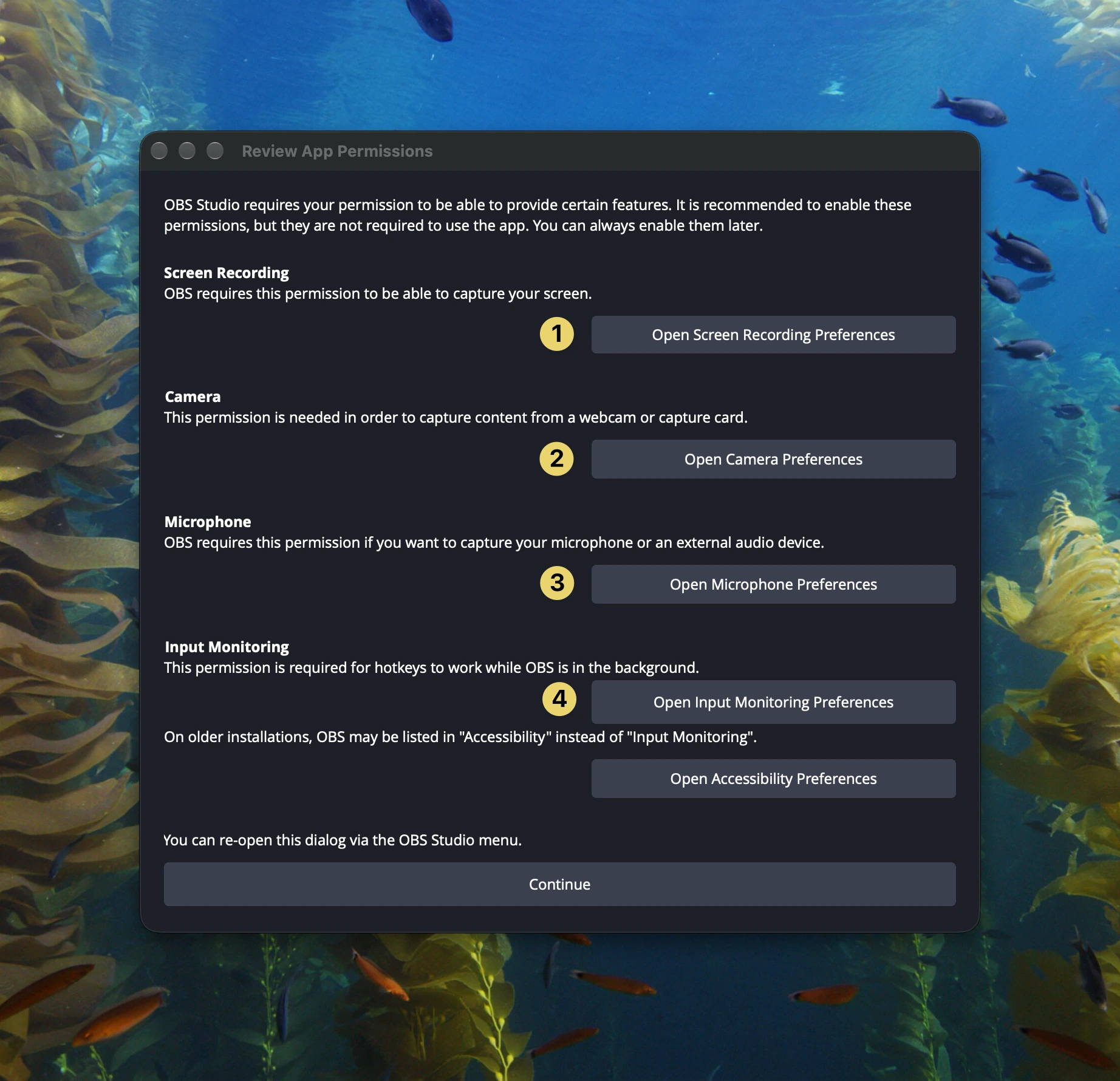 OBS Studio Review App Permissions window displaying numbered setup options for Screen Recording (1), Camera (2), Microphone (3), and Input Monitoring (4), each with a button to open macOS preferences.