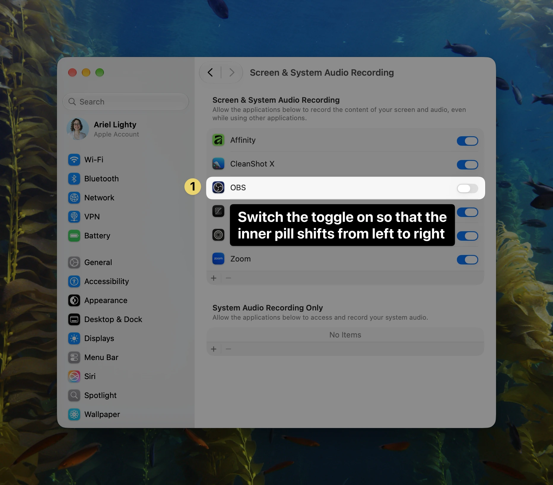 macOS Screen & System Audio Recording settings window highlighting the OBS toggle switch off, with an annotation instructing to switch the toggle on.
