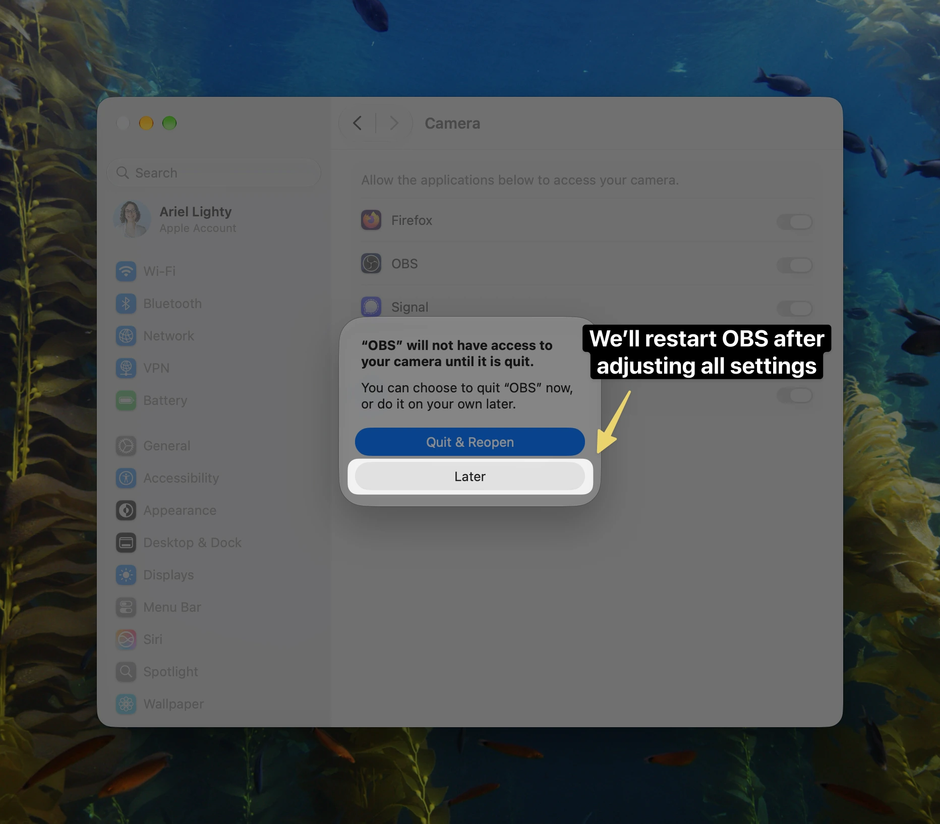 macOS system popup asking to quit OBS after changing camera permissions, with an arrow pointing to the "Later" button.