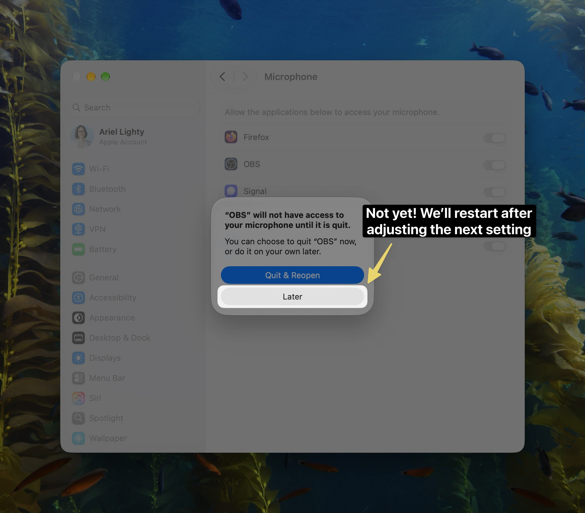 macOS prompt asking to quit OBS after updating microphone permissions, with an arrow pointing to select "Later" before moving to the next setting.