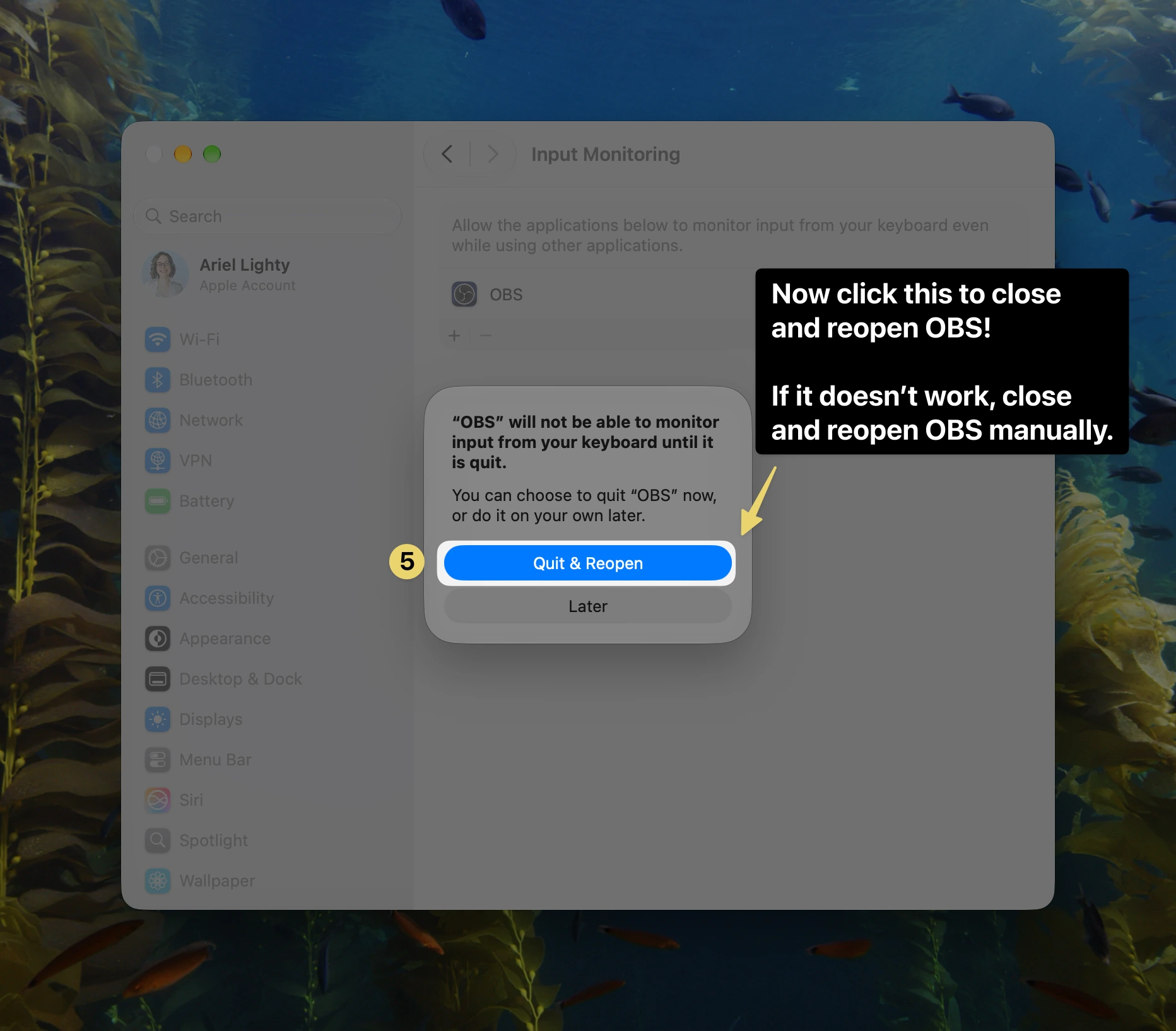 macOS prompt step 5 pointing an arrow to the highlighted "Quit & Reopen" button, with text instructing to click it to restart OBS and finish setup.