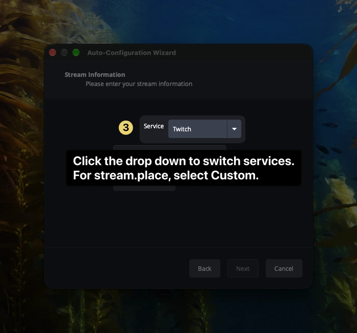 OBS Auto-Configuration Wizard Stream Information screen highlighting step 3 next to the Service drop-down menu set to Twitch.