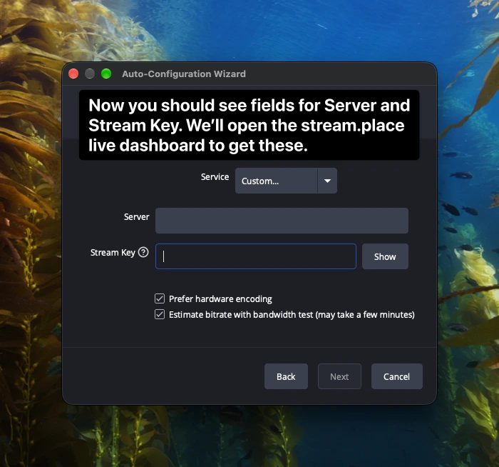 OBS Auto-Configuration Wizard with Service set to Custom, showing empty text input fields for Server and Stream Key.