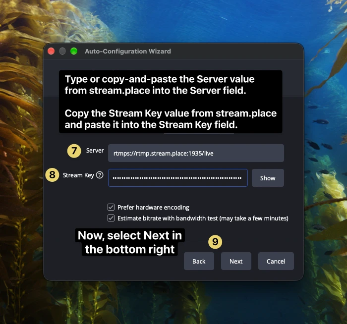 OBS Auto-Configuration Wizard showing step 7 for the filled Server field, step 8 for the pasted Stream Key, and step 9 pointing to the Next button.