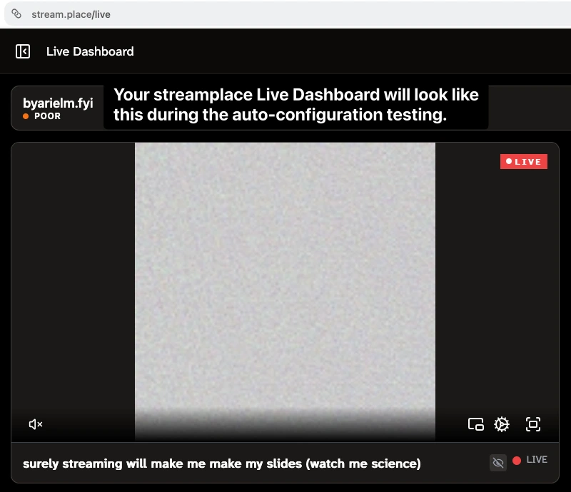 Streamplace Live Dashboard video player displaying grey noise media during the active OBS auto-configuration test.